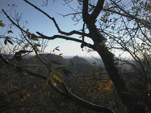Blick auf das Siebengebirge mit dem Drachenfels