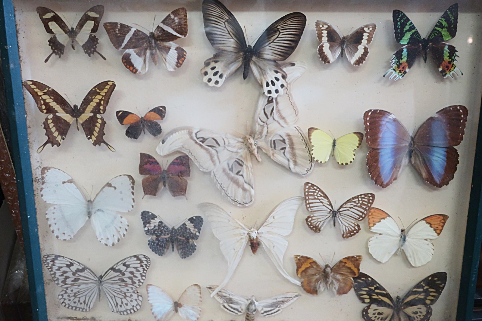 Produktbild Produktbild